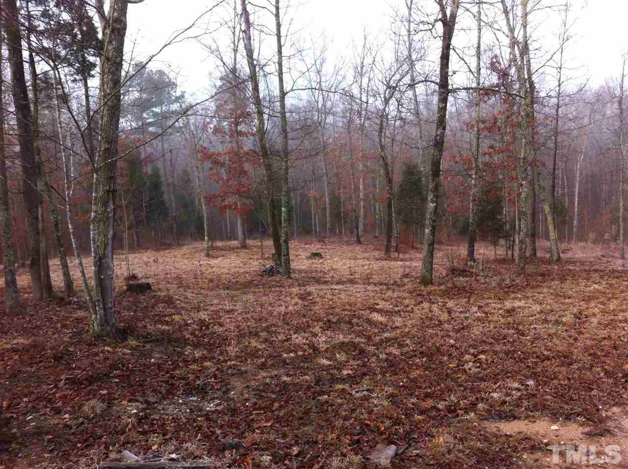 2304 Coley Road Durham, NC 27703 - Photo 3 of 4 a view of outdoor space with trees