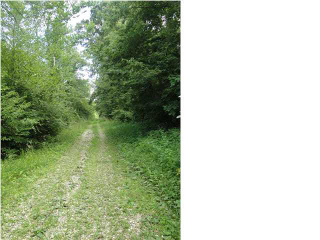 0 Tow Path Road Chandler, IN 47610 - Photo 2 of 15