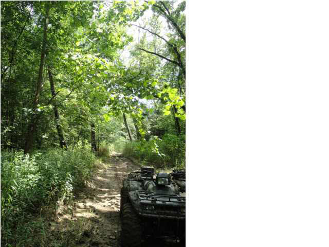 0 Tow Path Road Chandler, IN 47610 - Photo 11 of 15