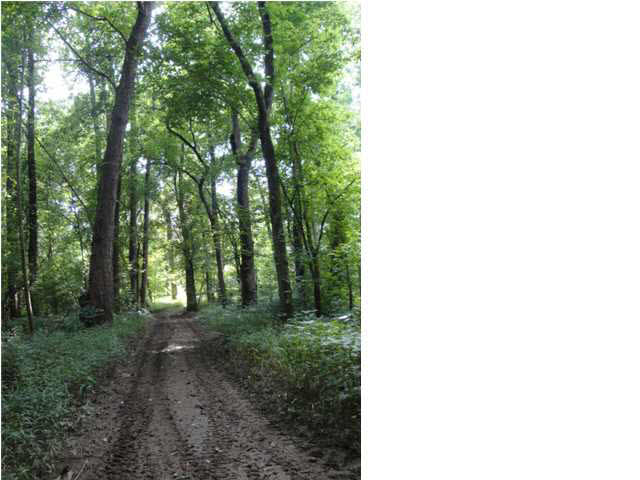 0 Tow Path Road Chandler, IN 47610 - Photo 12 of 15