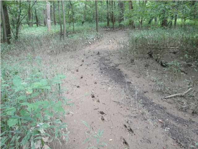 0 Tow Path Road Chandler, IN 47610 - Photo 4 of 15
