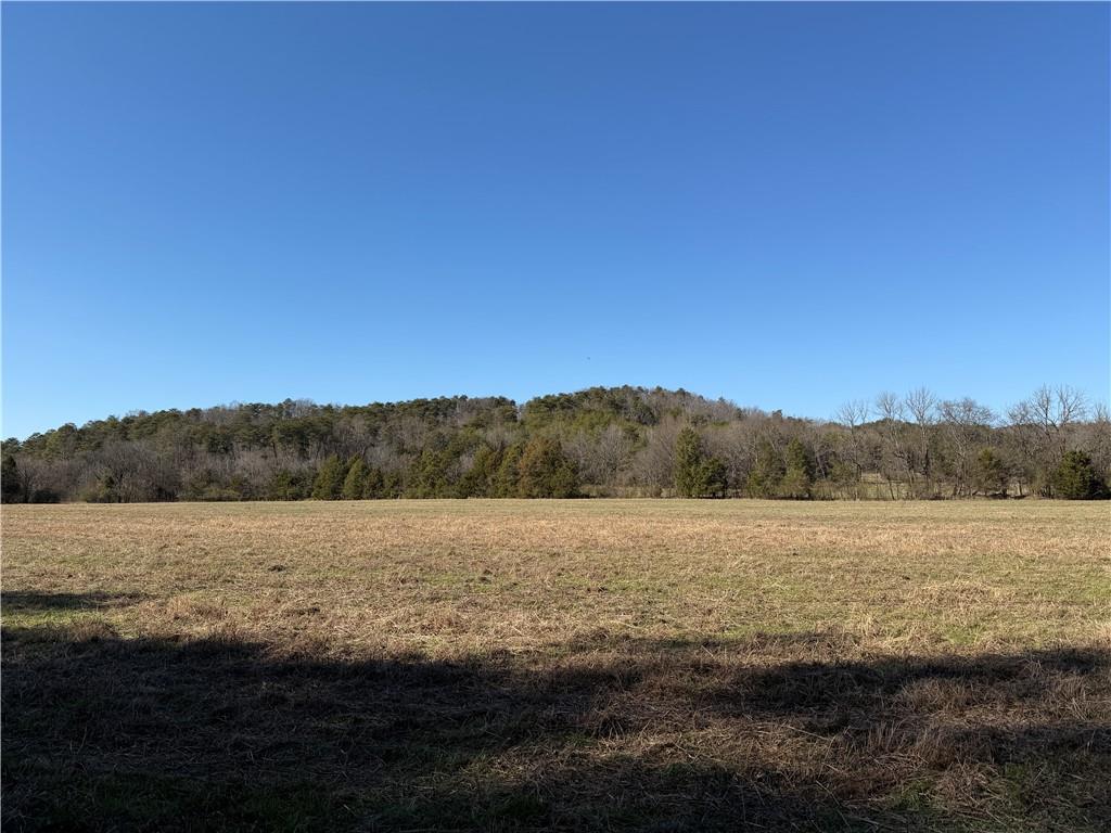 0 Liberty Church Road Northeast Ranger, GA 30734 - Photo 15 of 31 a view of mountain with lake view
