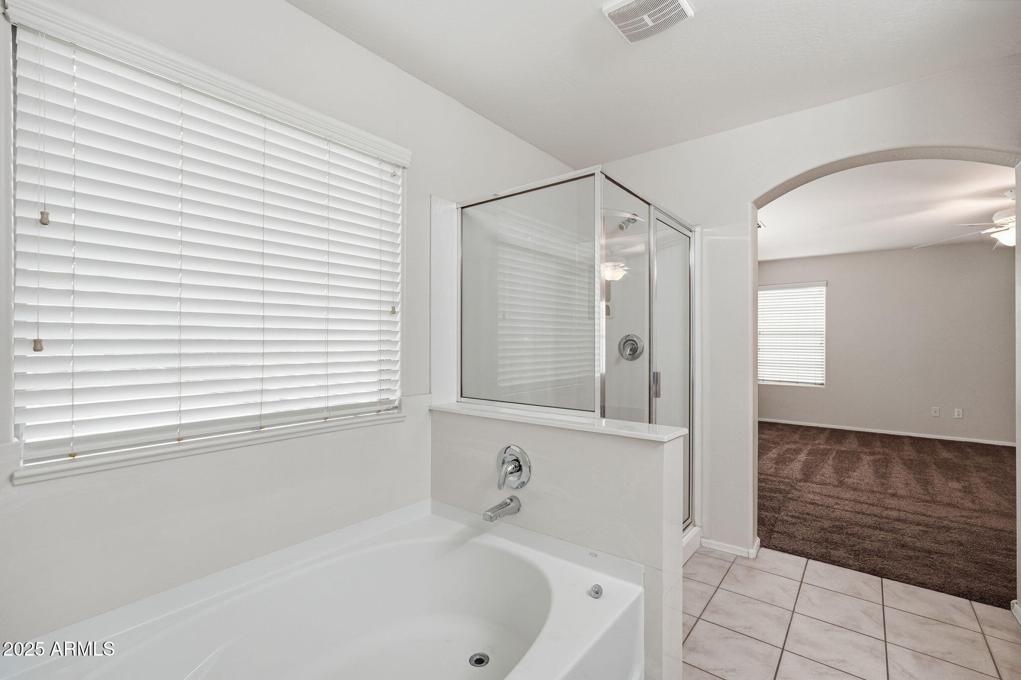 26913 North 85th Drive Peoria, AZ 85383 - Photo 37 of 48 a bathroom with a bathtub and a sink
