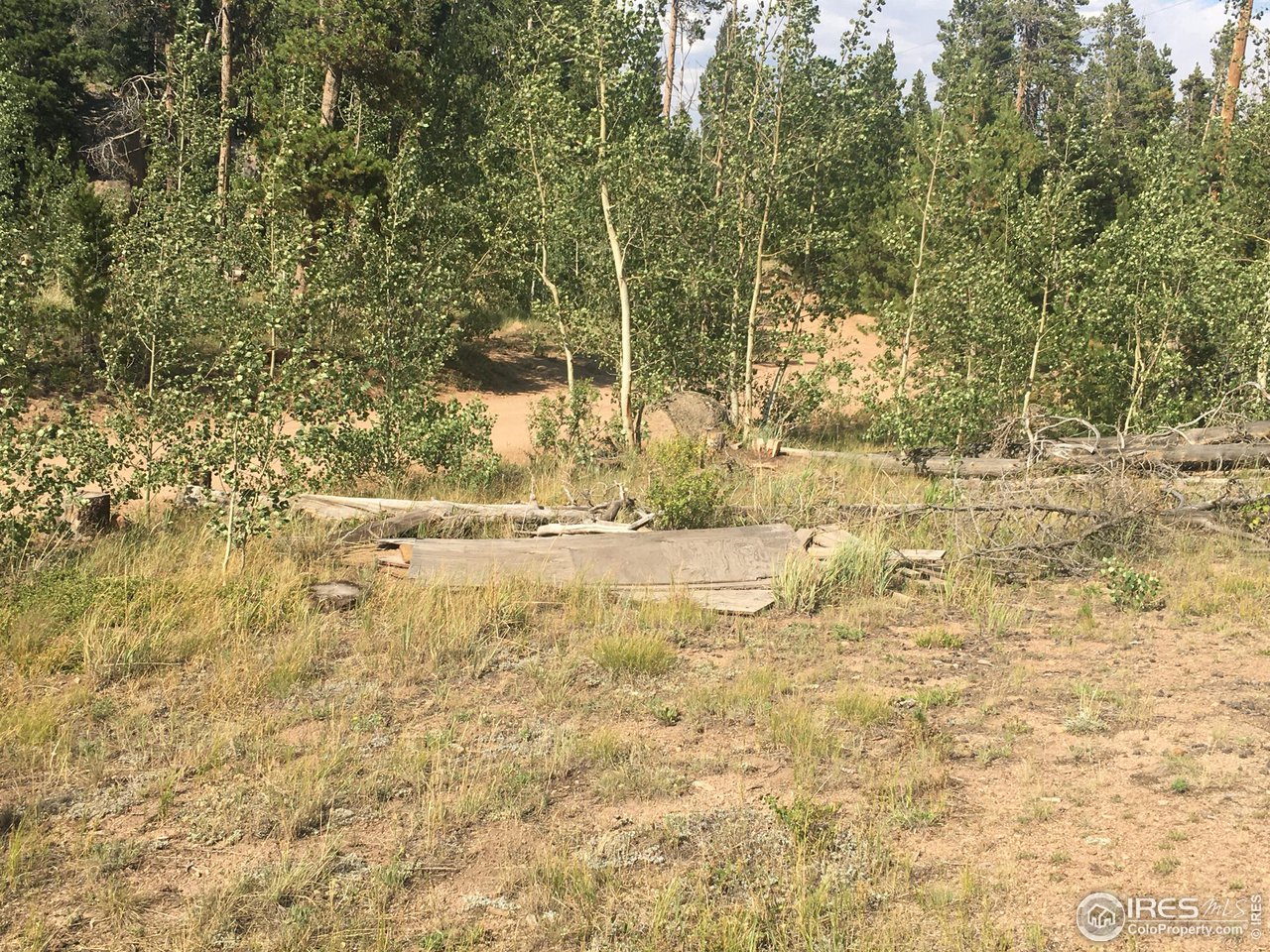 517 Crow Road Red Feather Lakes, CO 80545 - Photo 2 of 9 Gallery Image 2