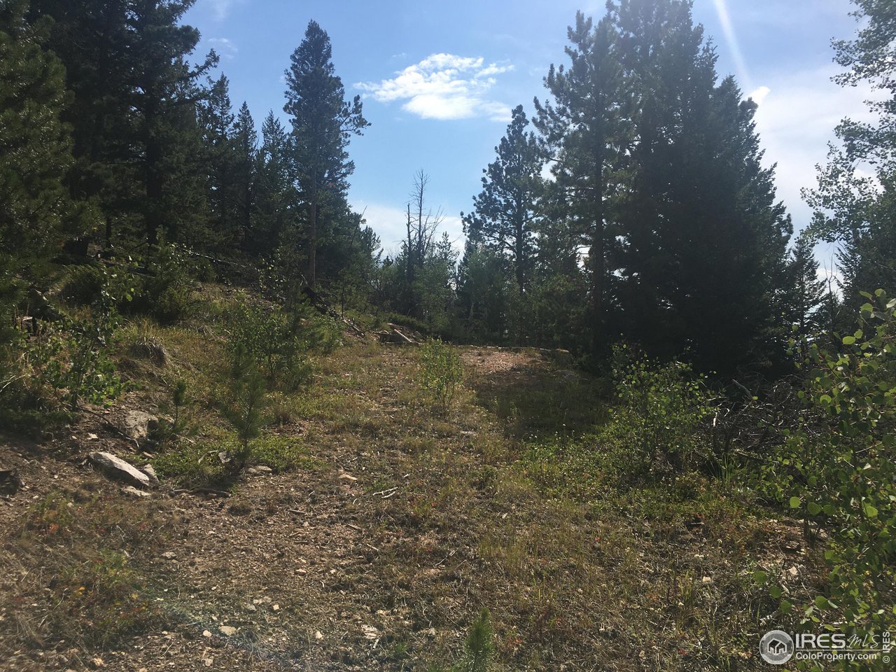 517 Crow Road Red Feather Lakes, CO 80545 - Photo 3 of 9 Gallery Image 3