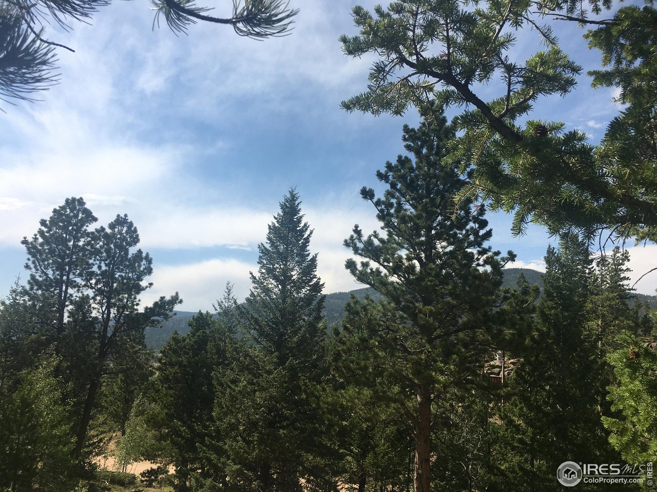 517 Crow Road Red Feather Lakes, CO 80545 - Photo 4 of 9 Gallery Image 4
