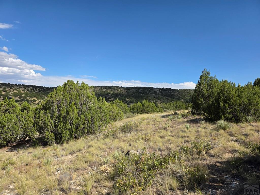 Lot 24 Pope Valley Ranch Road Pueblo, CO 81005 - Photo 12 of 17