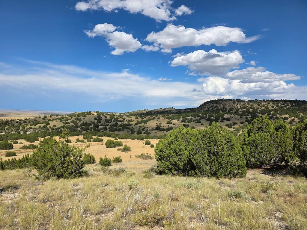 Lot 24 Pope Valley Ranch Road Pueblo, CO 81005 - Photo 13 of 17