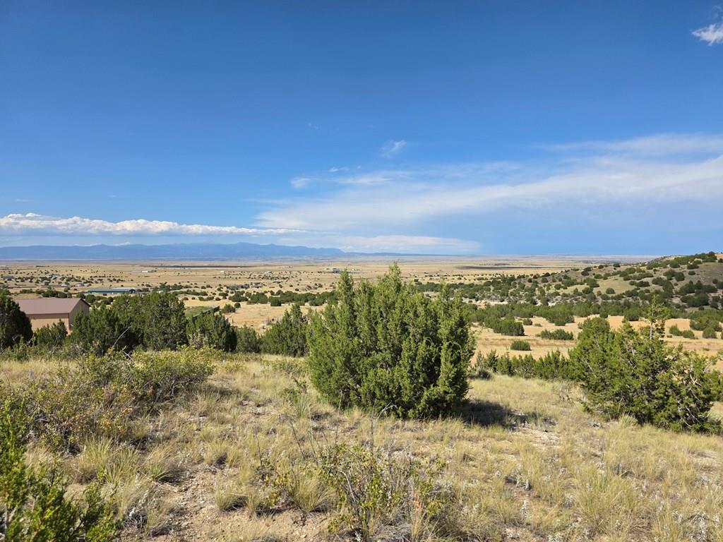 Lot 24 Pope Valley Ranch Road Pueblo, CO 81005 - Photo 14 of 17