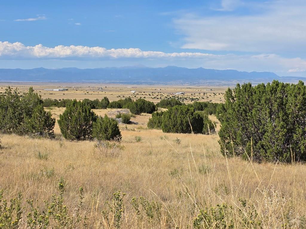 Lot 24 Pope Valley Ranch Road Pueblo, CO 81005 - Photo 3 of 17