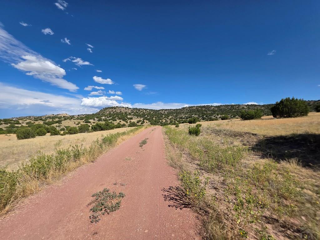 Lot 24 Pope Valley Ranch Road Pueblo, CO 81005 - Photo 4 of 17