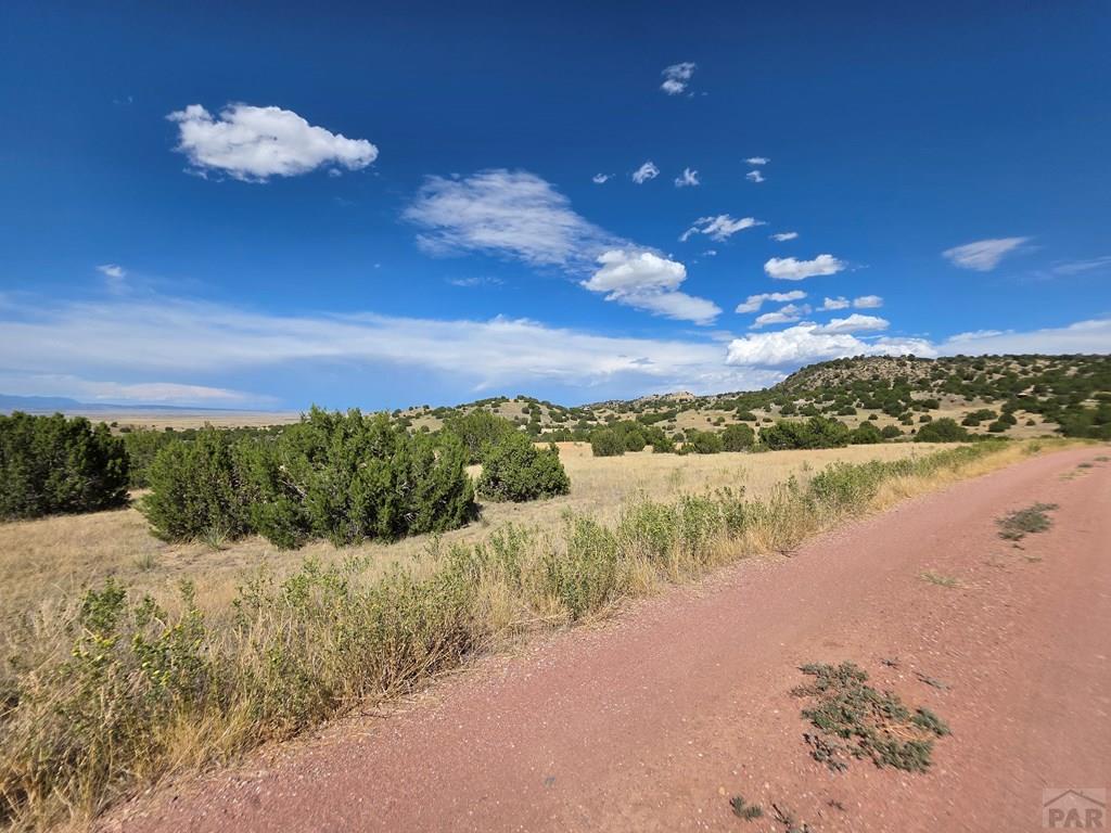 Lot 24 Pope Valley Ranch Road Pueblo, CO 81005 - Photo 5 of 17