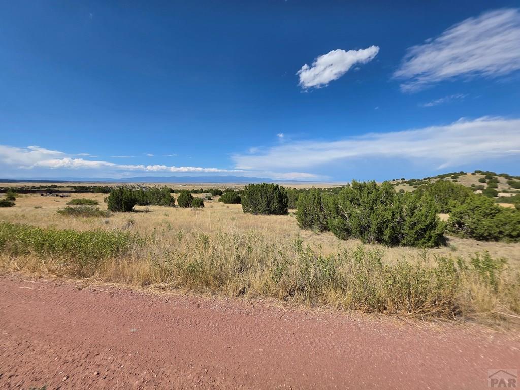 Lot 24 Pope Valley Ranch Road Pueblo, CO 81005 - Photo 6 of 17