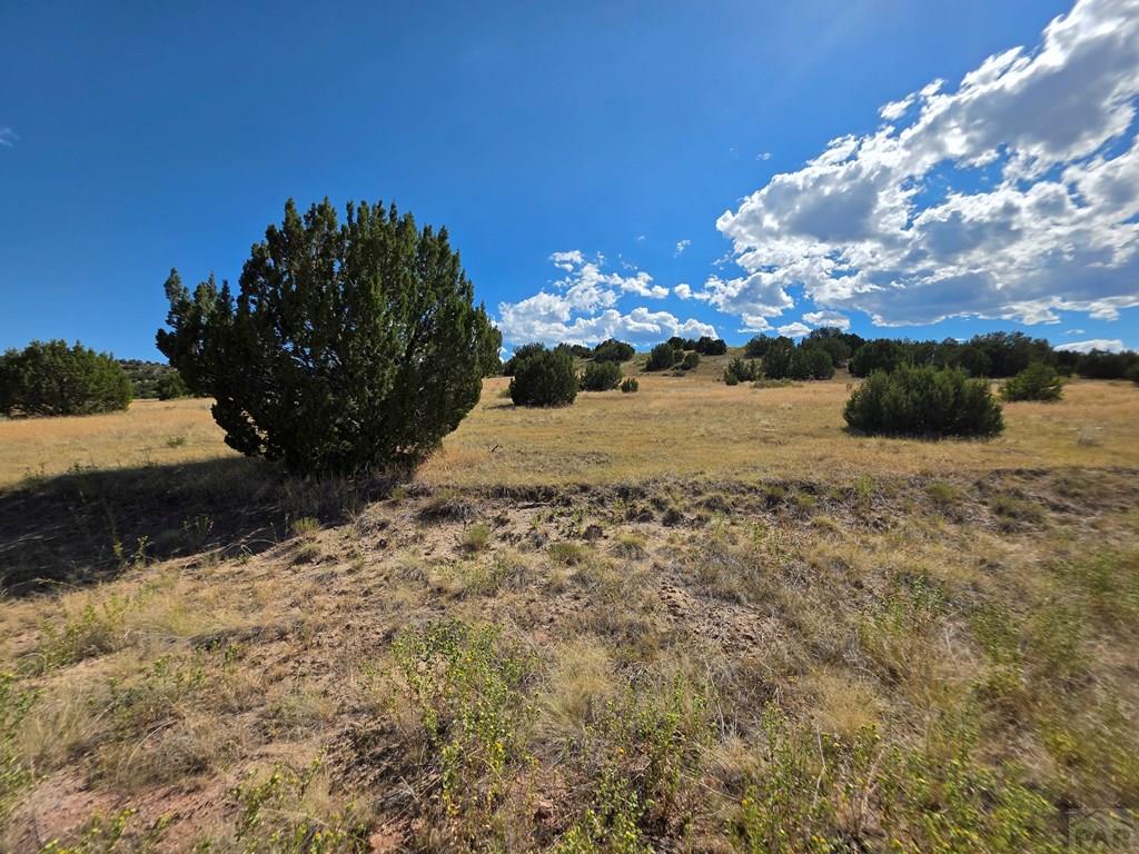 Lot 24 Pope Valley Ranch Road Pueblo, CO 81005 - Photo 9 of 17