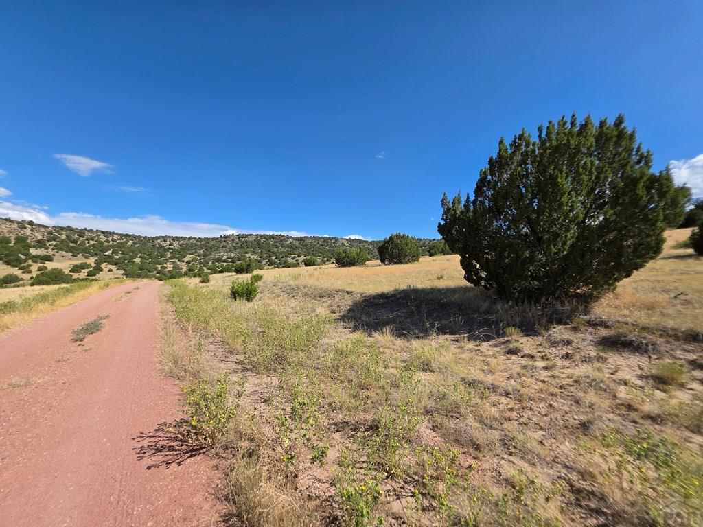 Lot 24 Pope Valley Ranch Road Pueblo, CO 81005 - Photo 10 of 17
