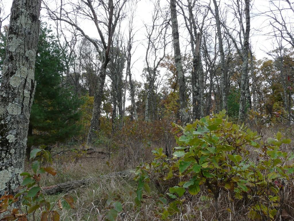0 Gile Road Grantsburg, WI 54840 - Photo 1 of 1