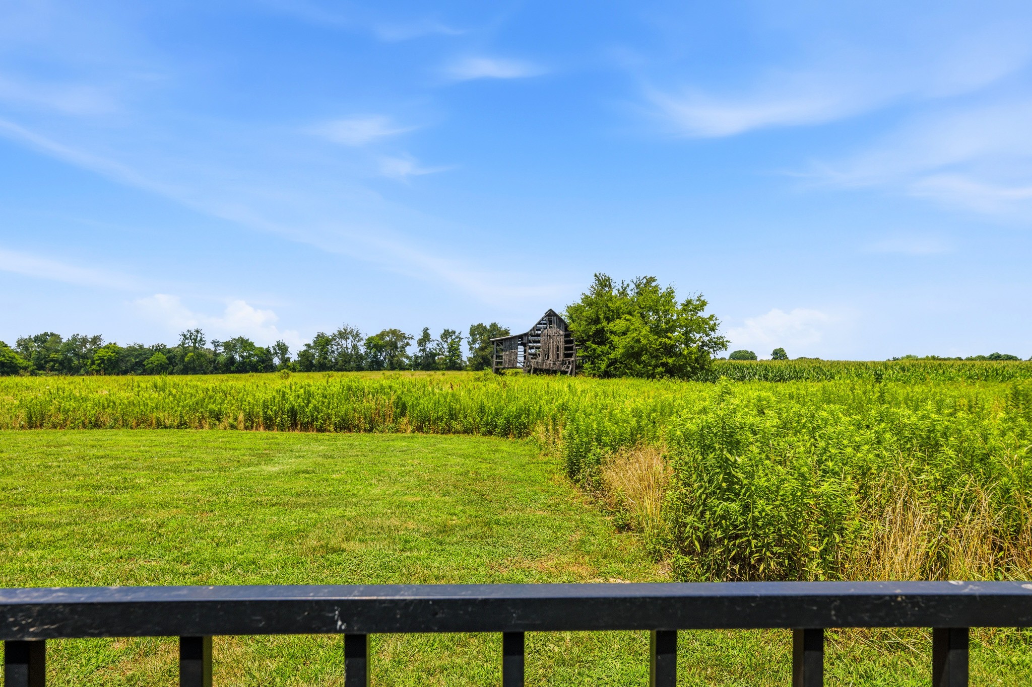 529 Clearview Road Cottontown, TN 37048 - Photo 55 of 68
