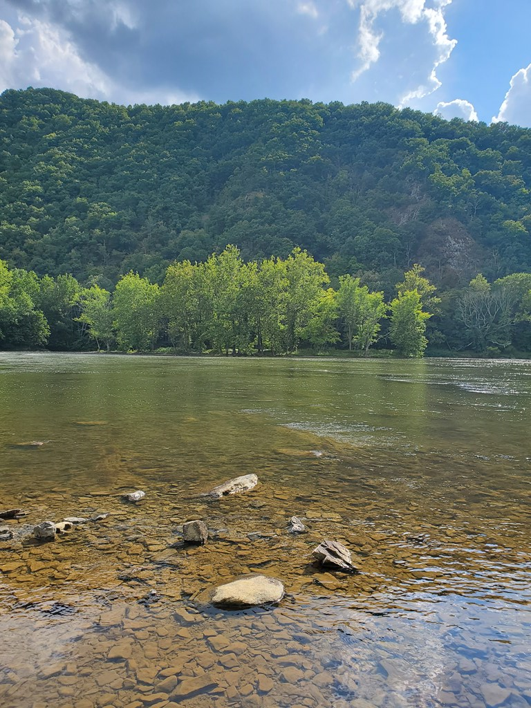 Tbd Loafers Rest Road Austinville, VA 24312 - Photo 4 of 6 Gallery Image 4
