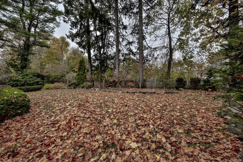 42 Stanwood Road Swampscott, MA 01907 - Photo 6 of 30 Gallery Image 6