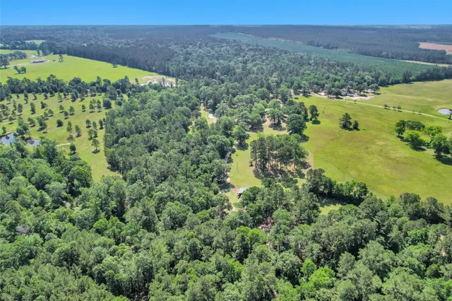 $459,000 | 1356 Pegoda Ranch Road, Groveton, TX 75845