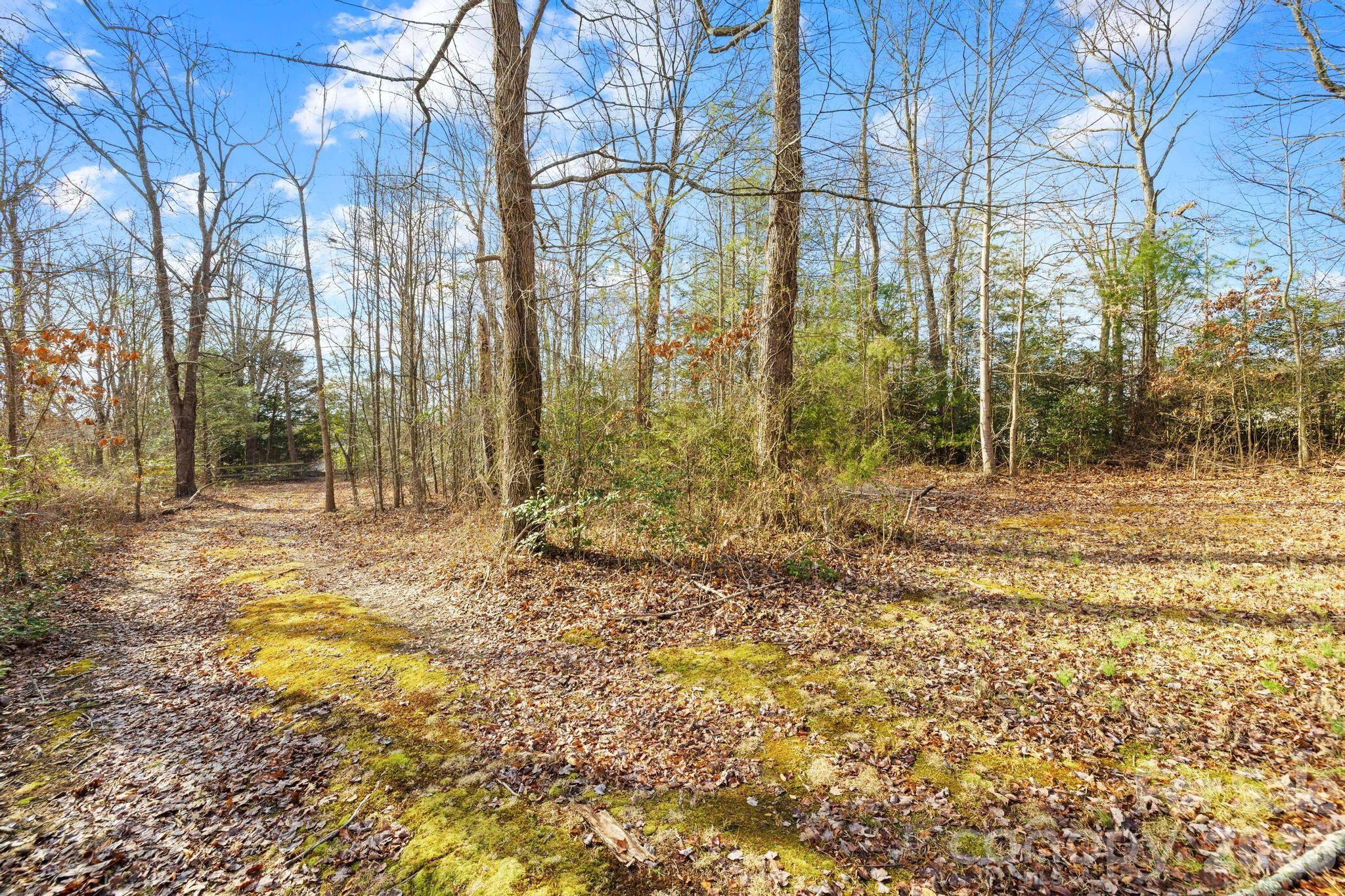3060 Poplar Springs Road State Road, NC 28676 - Photo 23 of 38 a backyard of a house with lots of green space