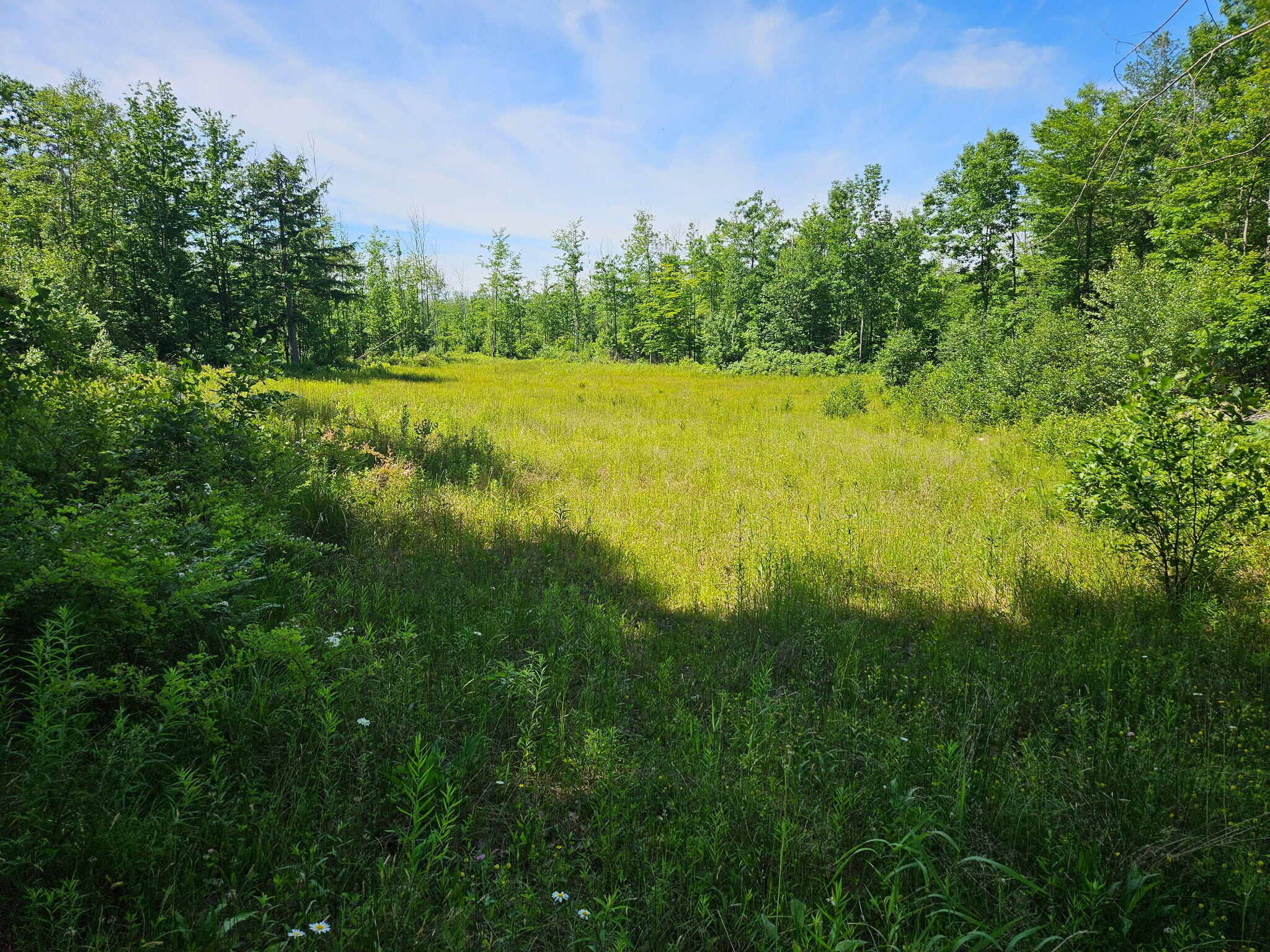 1000006664