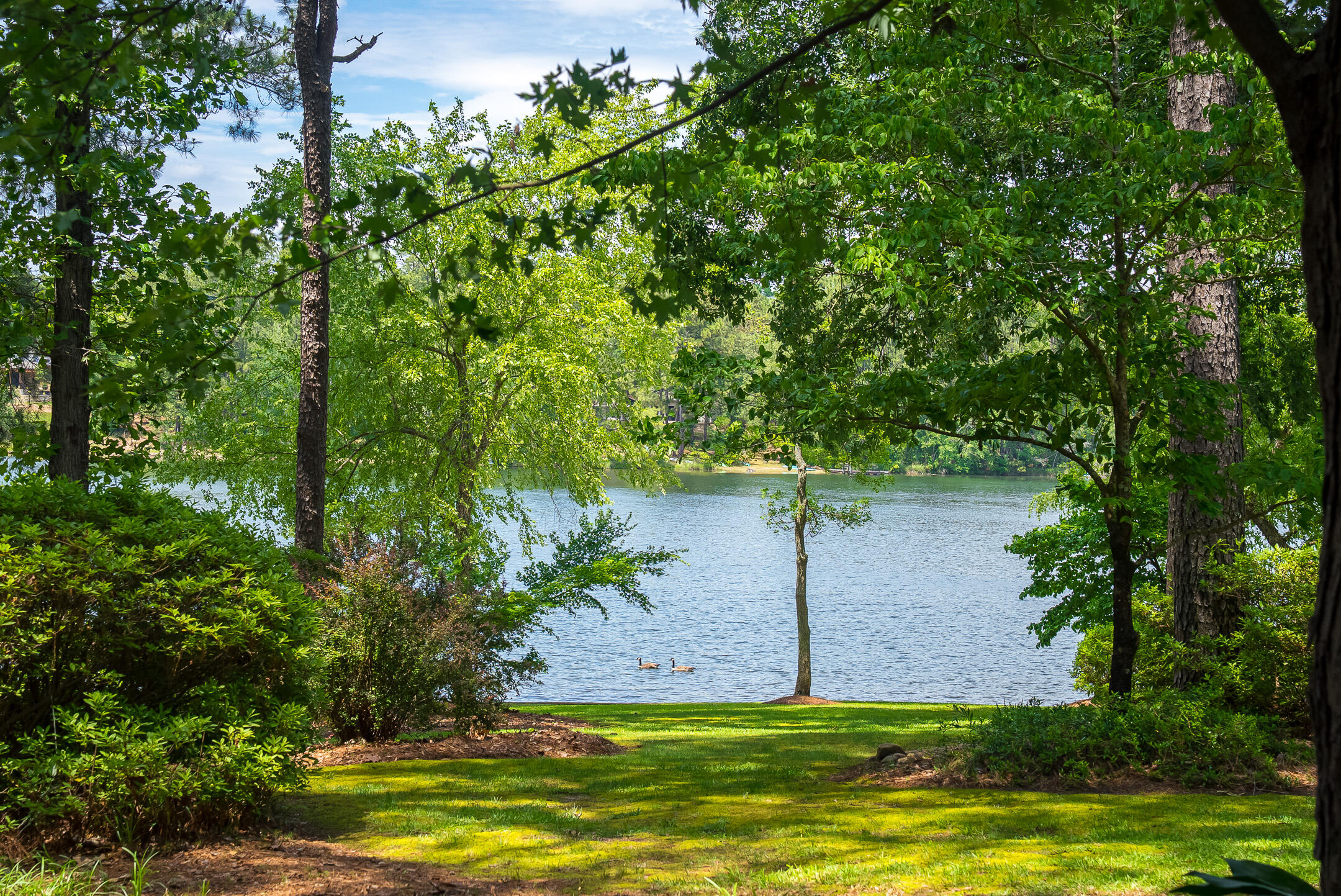 1049 Edisto Lake Road Wagener, SC 29164 - Photo 95 of 96