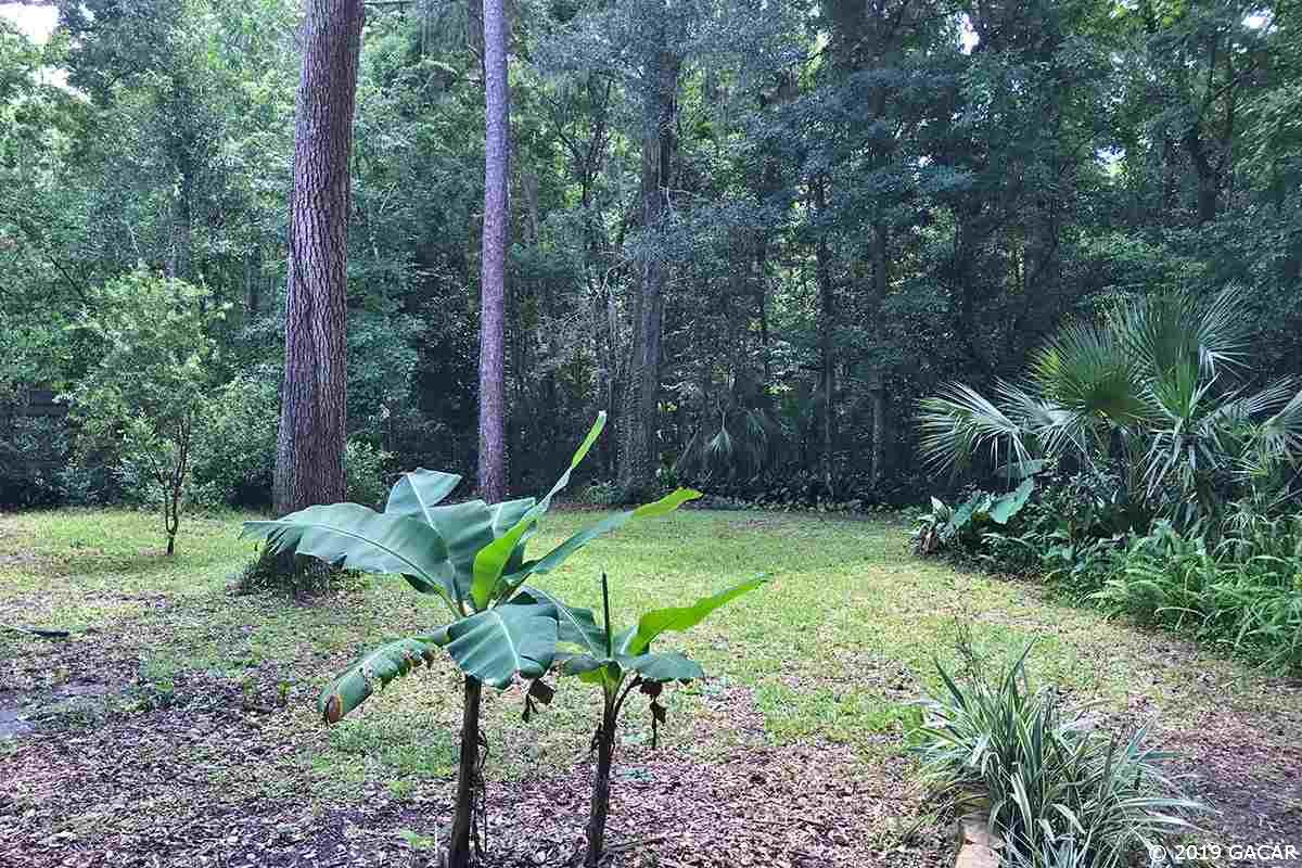 3745 Southwest 6th Place Gainesville, FL 32607 - Photo 20 of 22