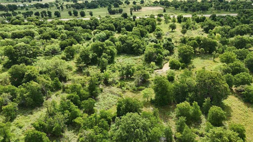 30 Oasis Court Perrin, TX 76486 - Photo 28 of 30