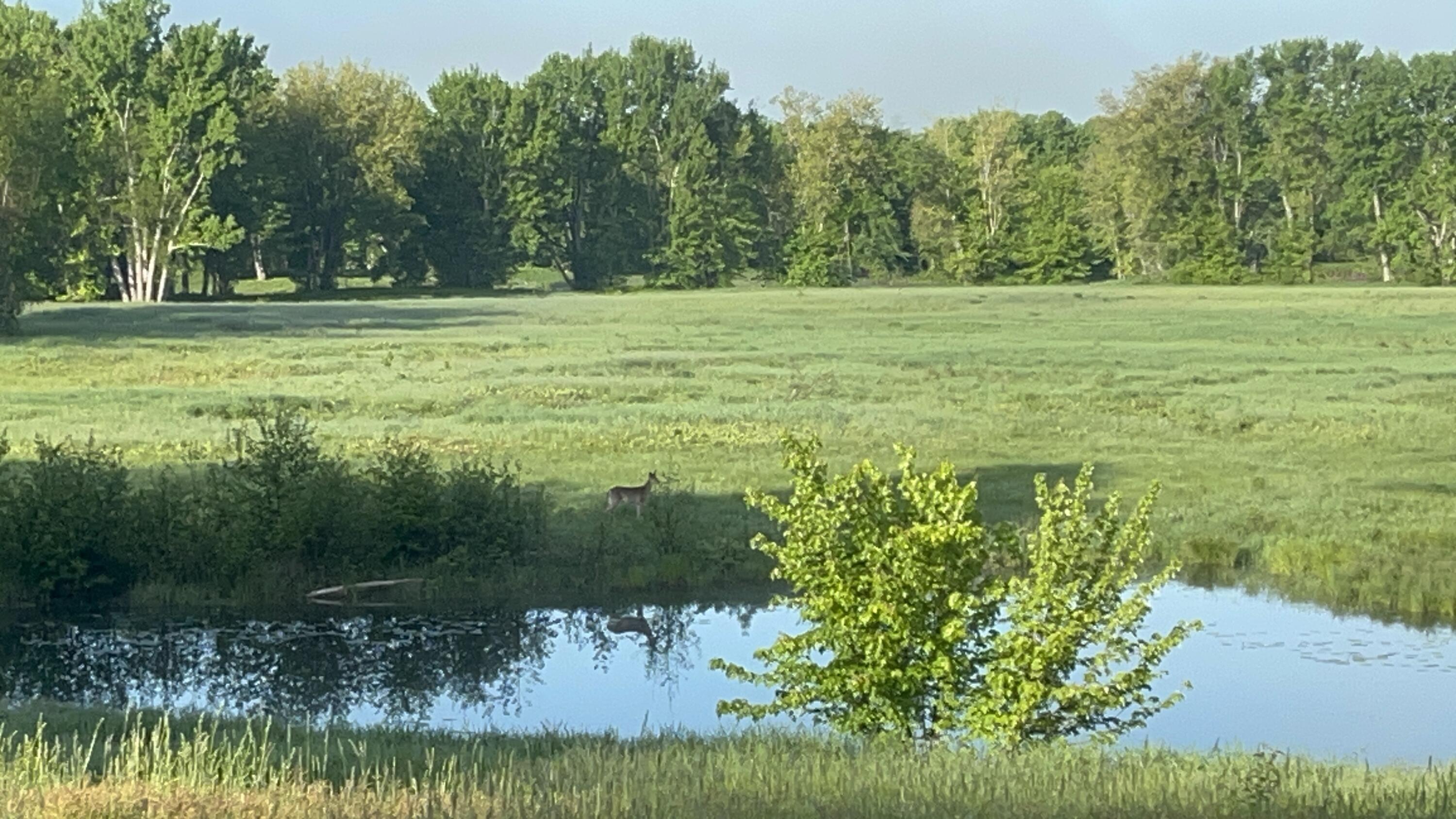 474 North Howland Road Howland, ME 04448 - Photo 45 of 68 IMG_3926