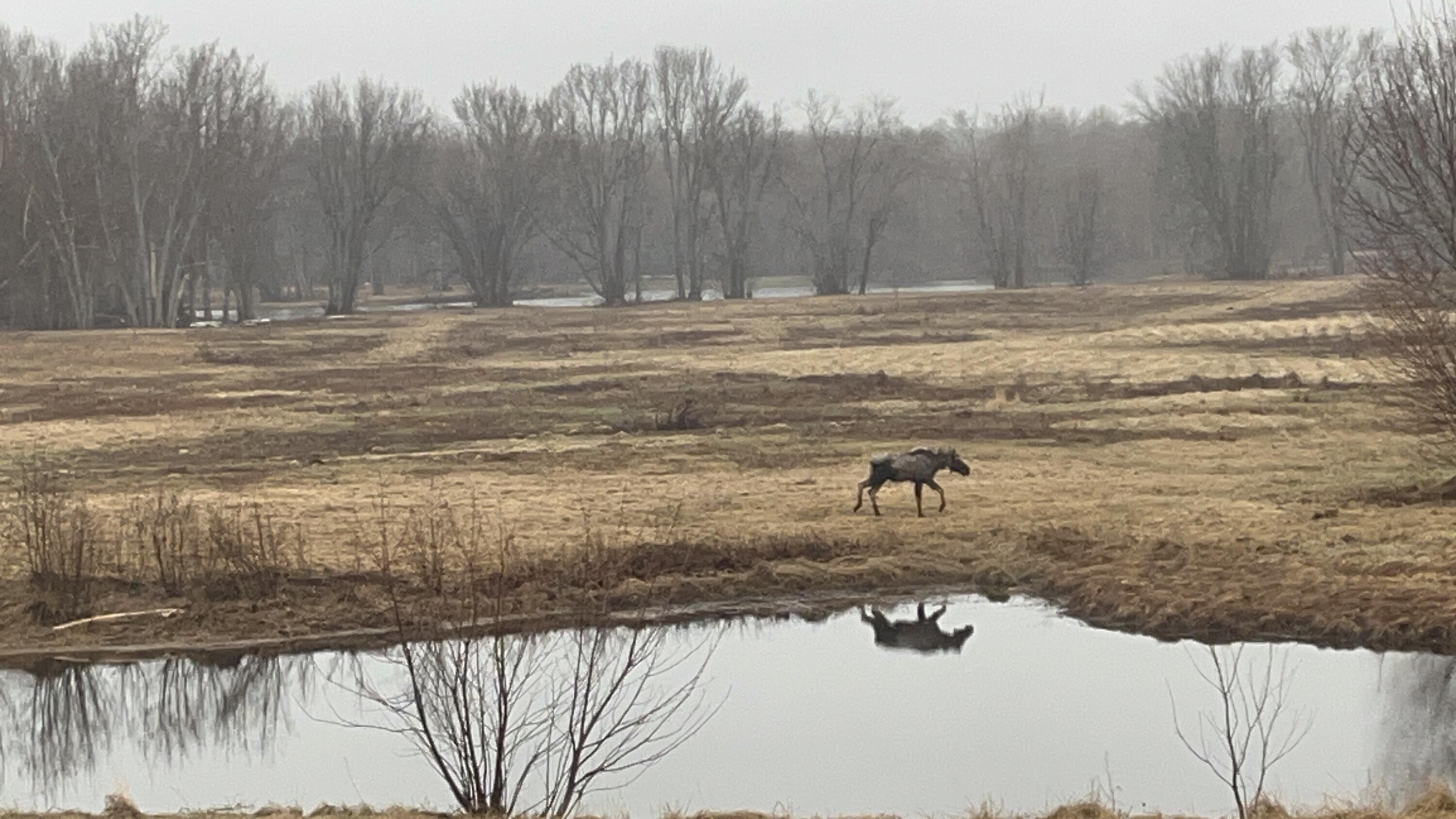 474 North Howland Road Howland, ME 04448 - Photo 53 of 68 IMG_3553