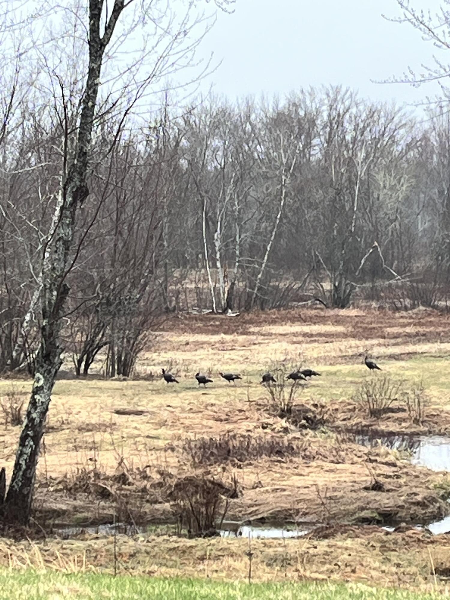 474 North Howland Road Howland, ME 04448 - Photo 57 of 68 IMG_3601