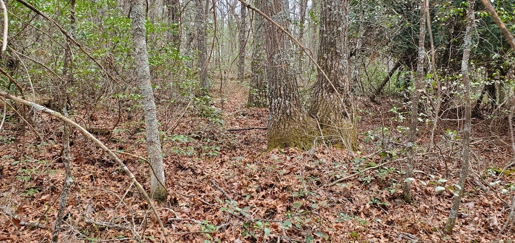 24.5-ac Alleghany Road Max Meadows, VA 24360 - Photo 22 of 38 Gallery Image 22
