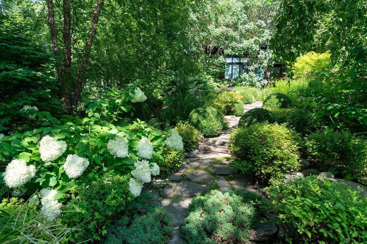 310 Jims Road Mount Tremper, NY 12457 - Photo 31 of 35 a plant view in yard