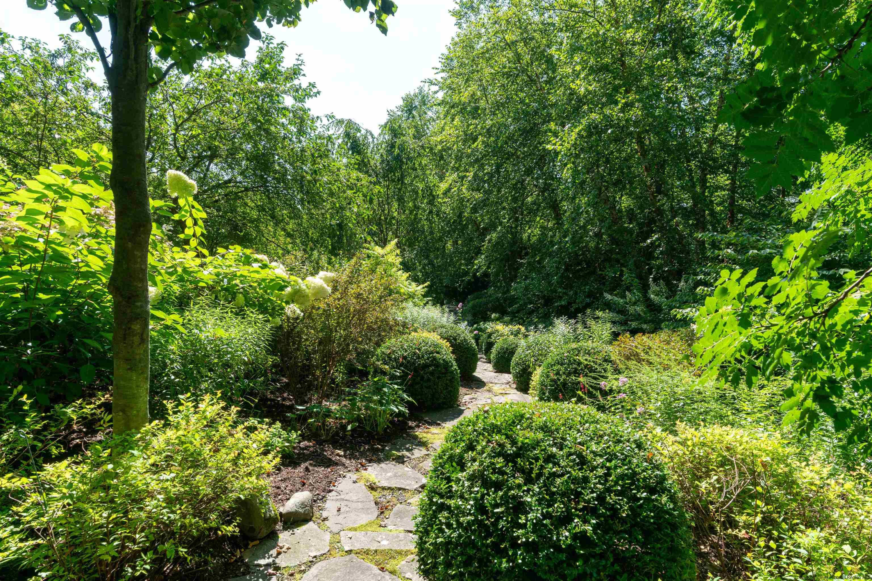 310 Jims Road Mount Tremper, NY 12457 - Photo 6 of 35 a view of a garden with plants and large trees