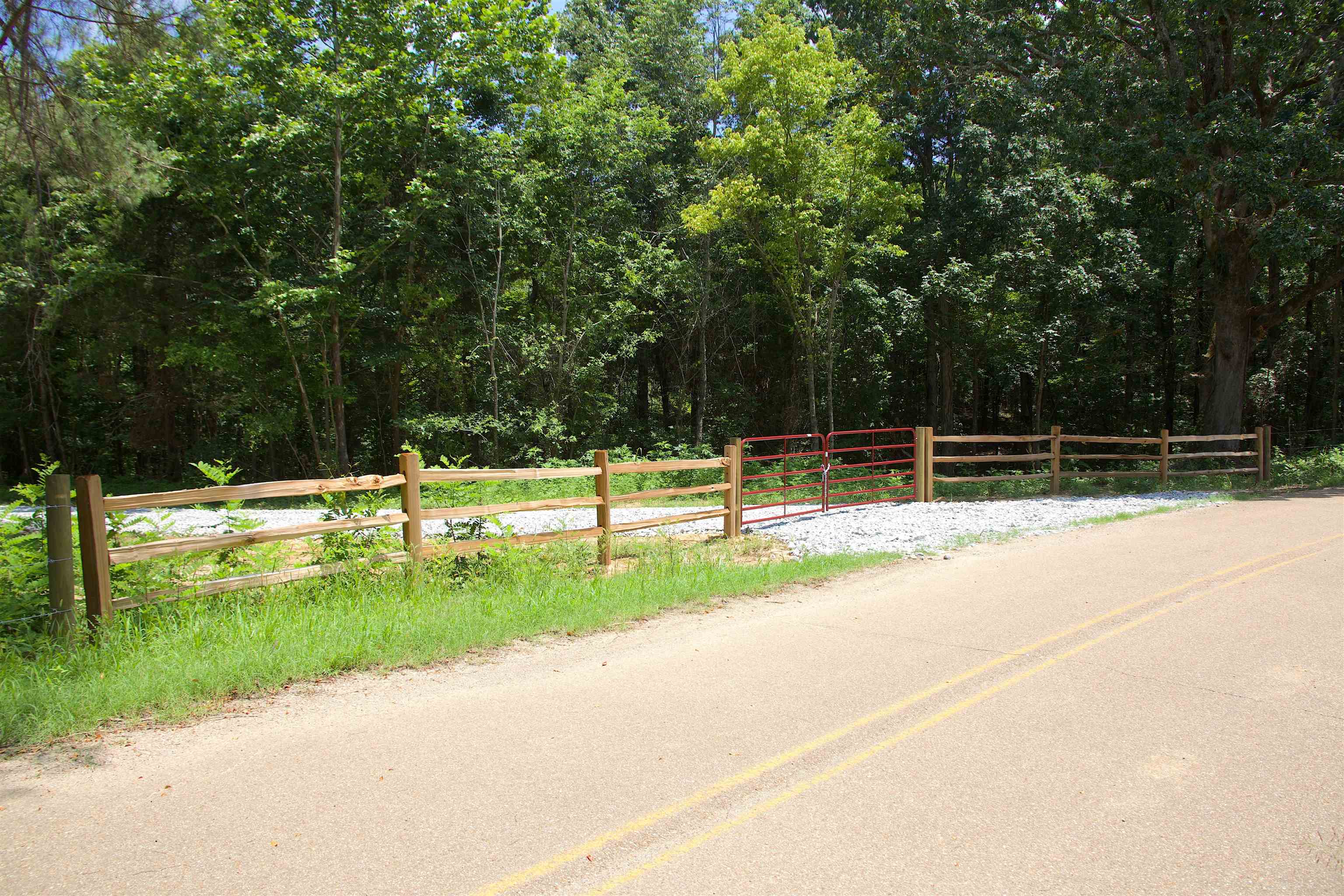 621 Smith Road Grand Junction, TN 38039 - Photo 16 of 20 View of asphalt road with a forest view