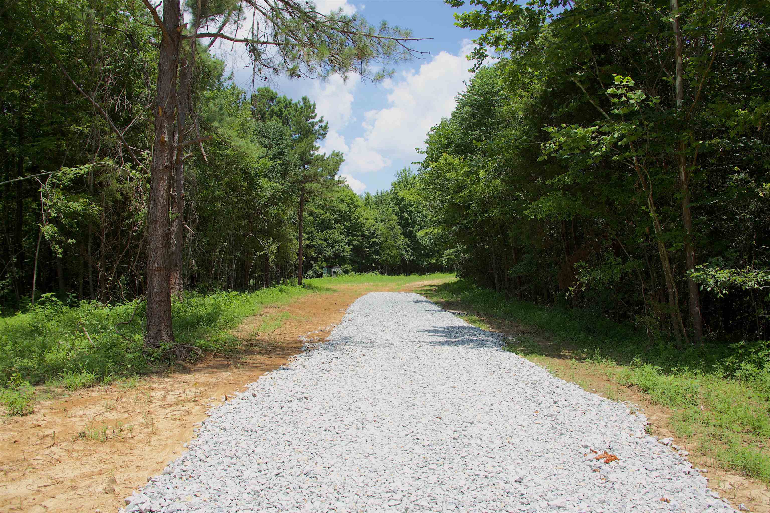 621 Smith Road Grand Junction, TN 38039 - Photo 5 of 20 View of road featuring a wooded view