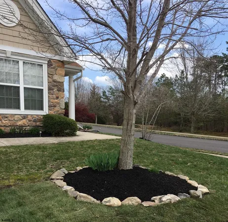 a view of a backyard