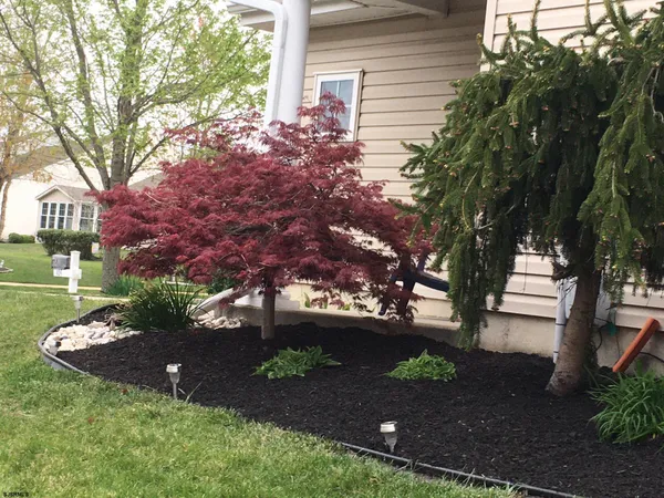 a view of outdoor space yard and patio