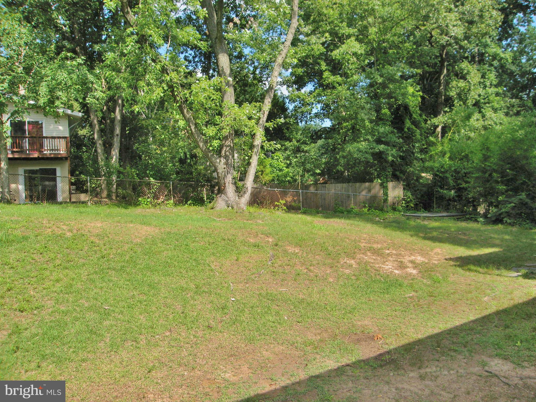 8113 Karl Road Alexandria, VA 22308 - Photo 13 of 15 a backyard of a house with lots of green space