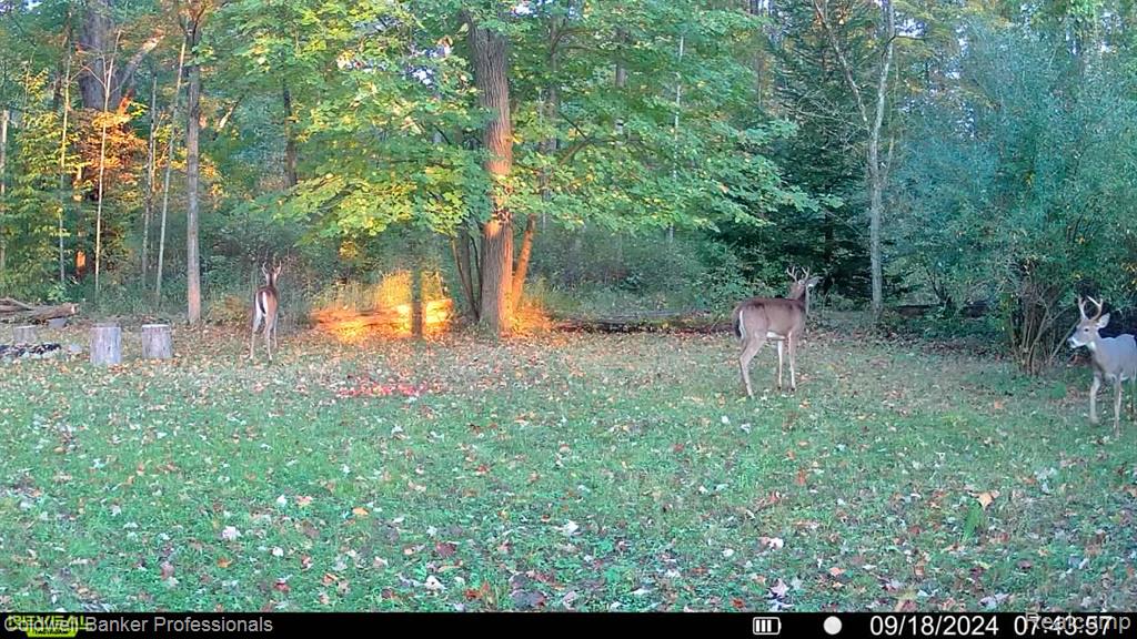 Vl Rattle Run Road St. Clair, MI 48079 - Photo 26 of 45 Gallery Image 26