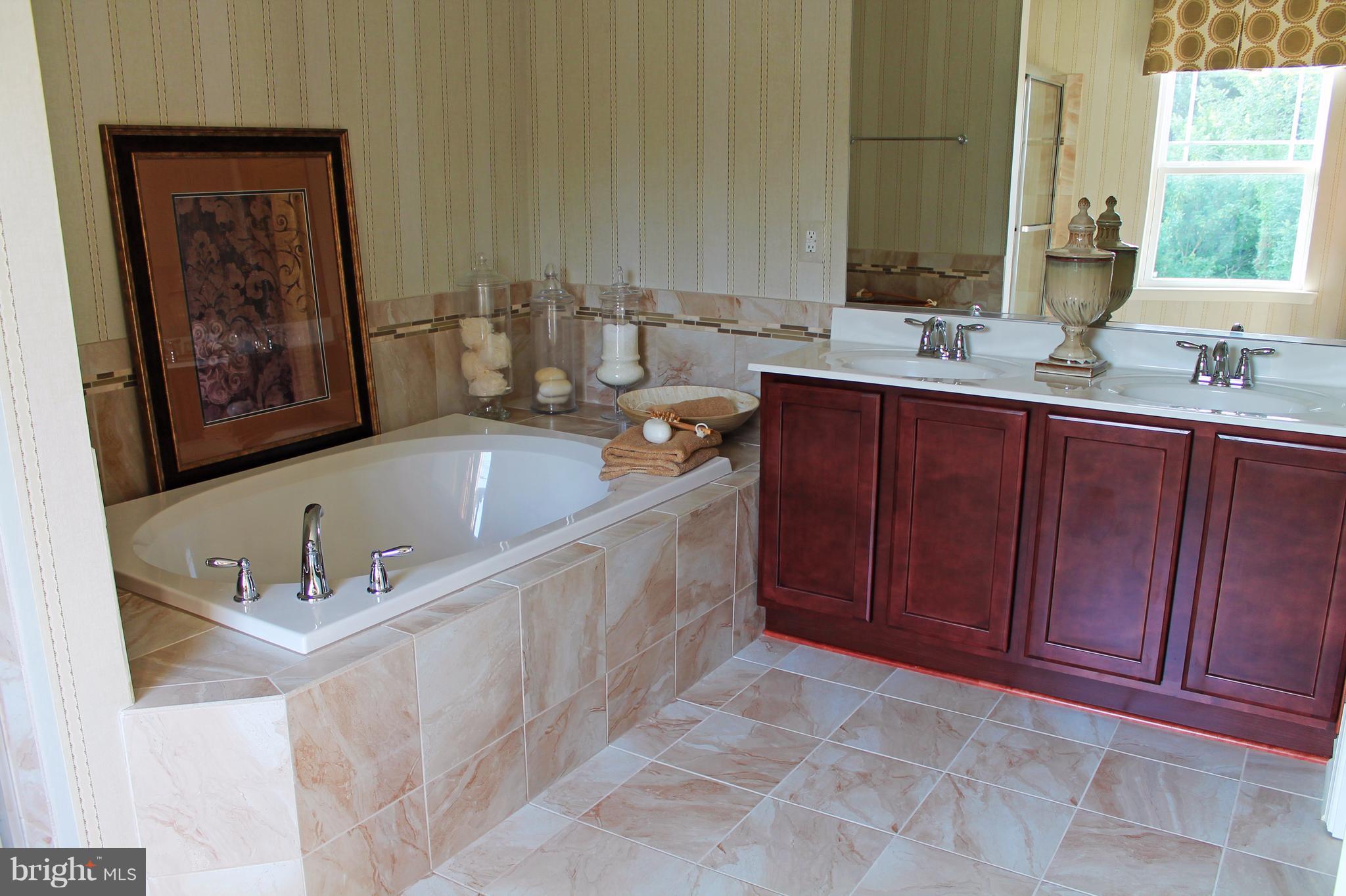 1007 Stansbury Road Pylesville, MD 21132 - Photo 5 of 6 Bath (Master)
