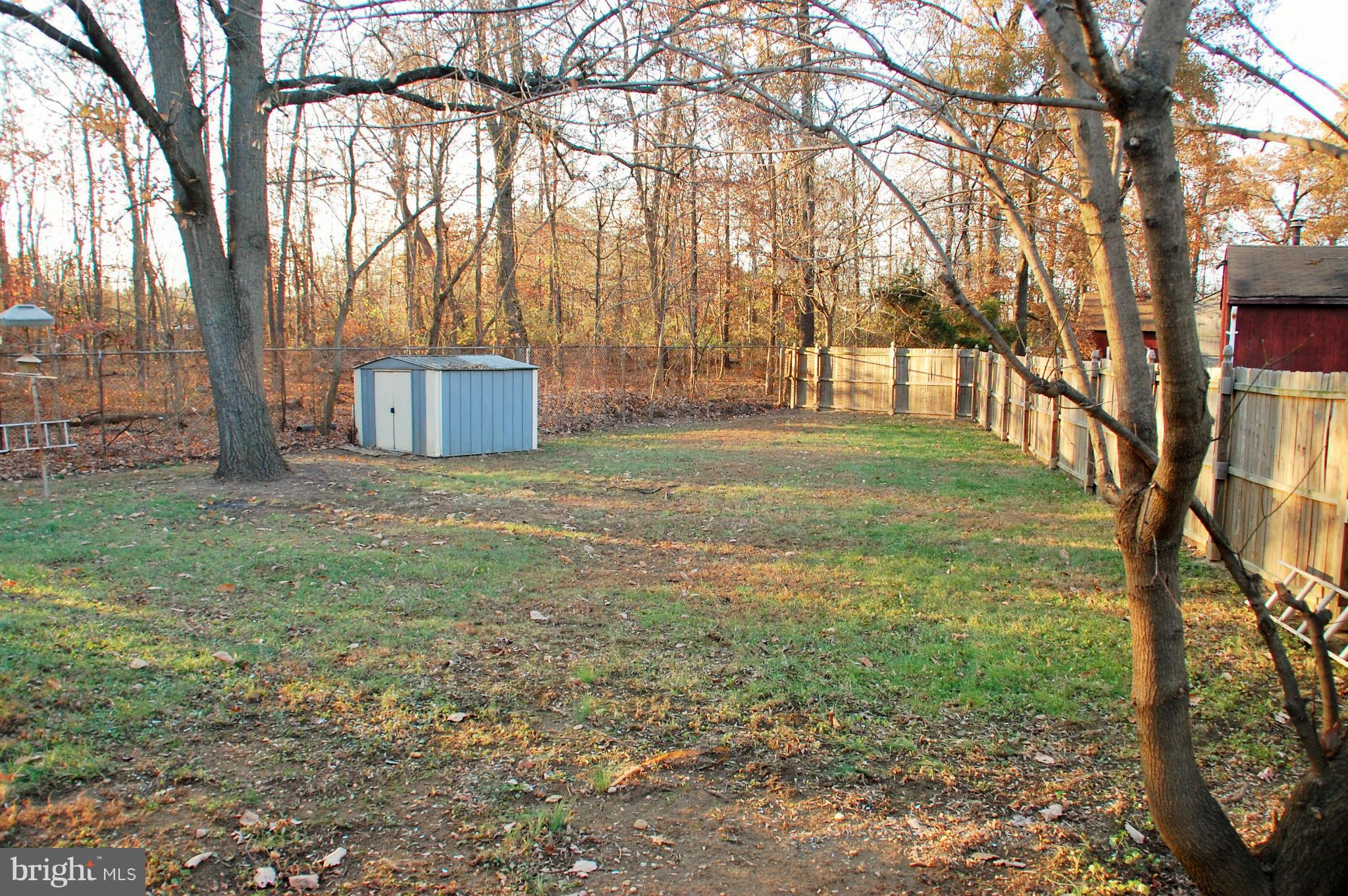 5508 Spruce Drive Clinton, MD 20735 - Photo 17 of 18 a view of a yard with a tree