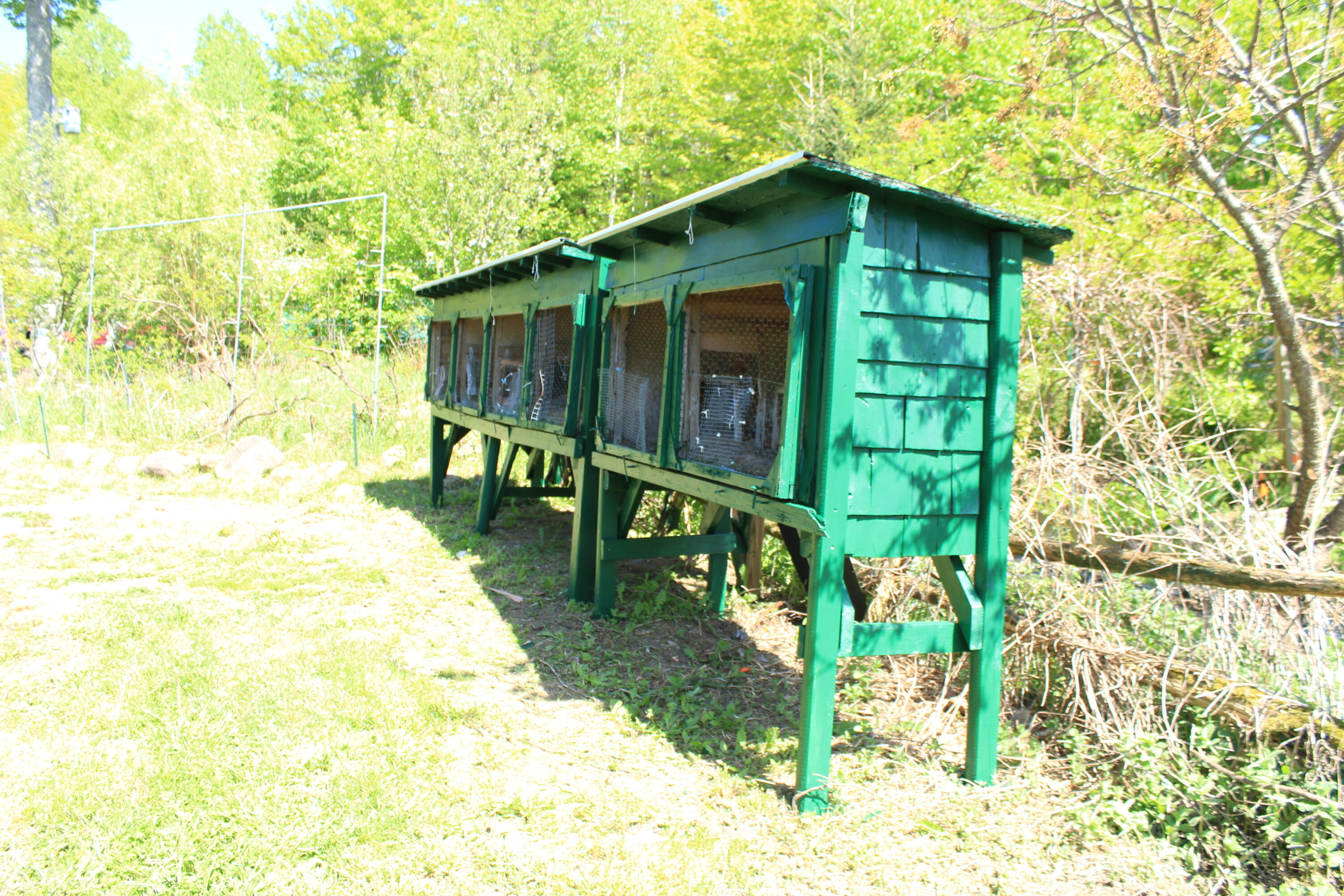 47 Tower Hill Road Medford, ME 04463 - Photo 62 of 66 rabbit cages