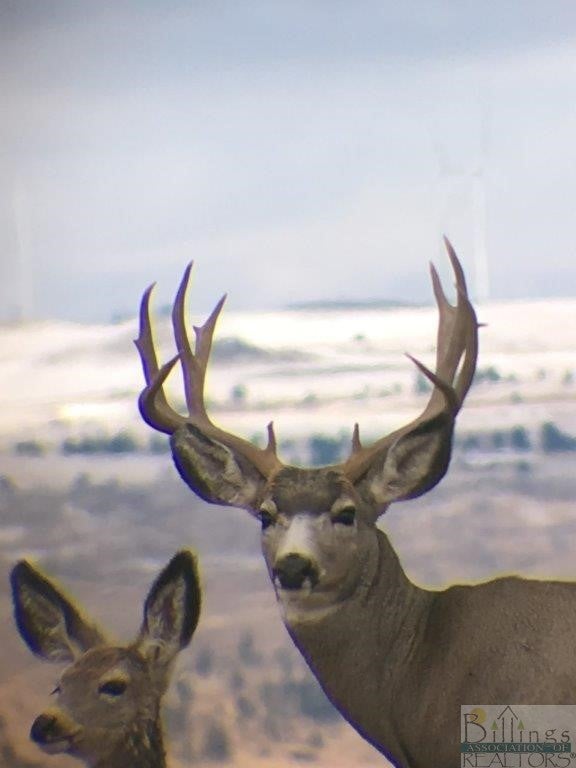 Tbd Tbd Hump Creek Road Reed Point, MT 59069 - Photo 1 of 1 Gallery Image 1
