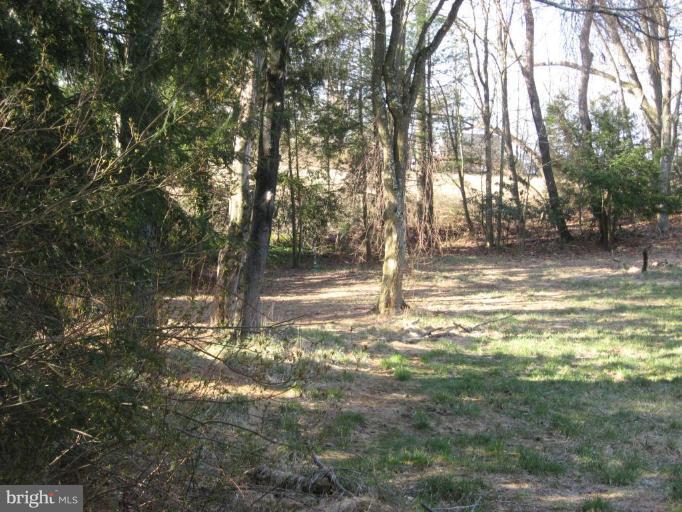 3216 Rocks Chrome Hill Road Jarrettsville, MD 21084 - Photo 4 of 9 Wooded View / Acreage 2