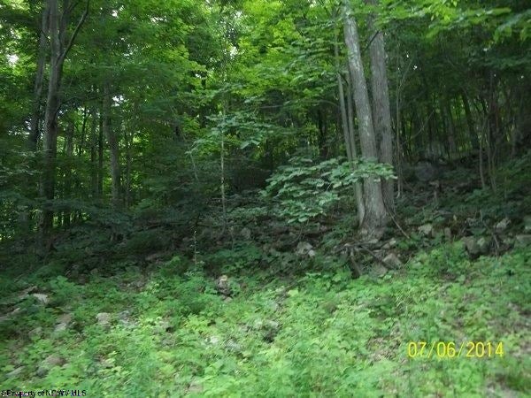 Lot 9 Stone Camp Ridge Davis, WV 26260 - Photo 4 of 6 Gallery Image 4