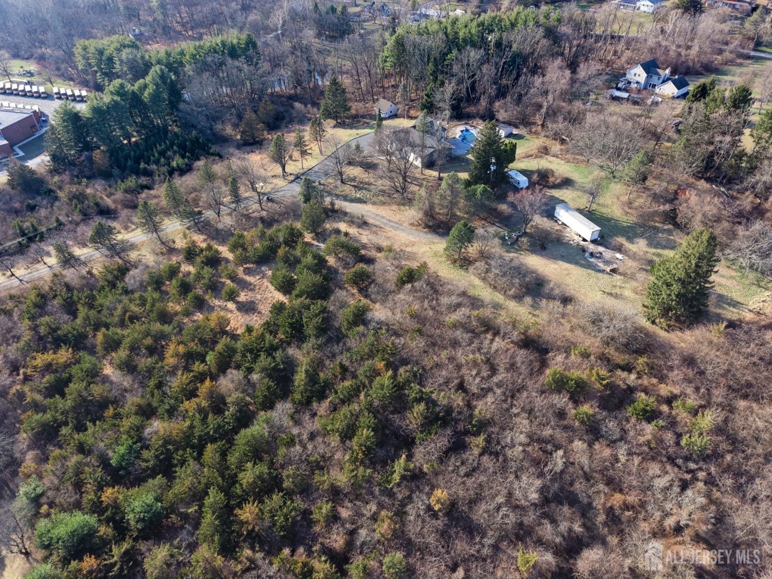 2 Rossi Drive Clinton, NJ 08809 - Photo 72 of 73 a view of a forest with a tree