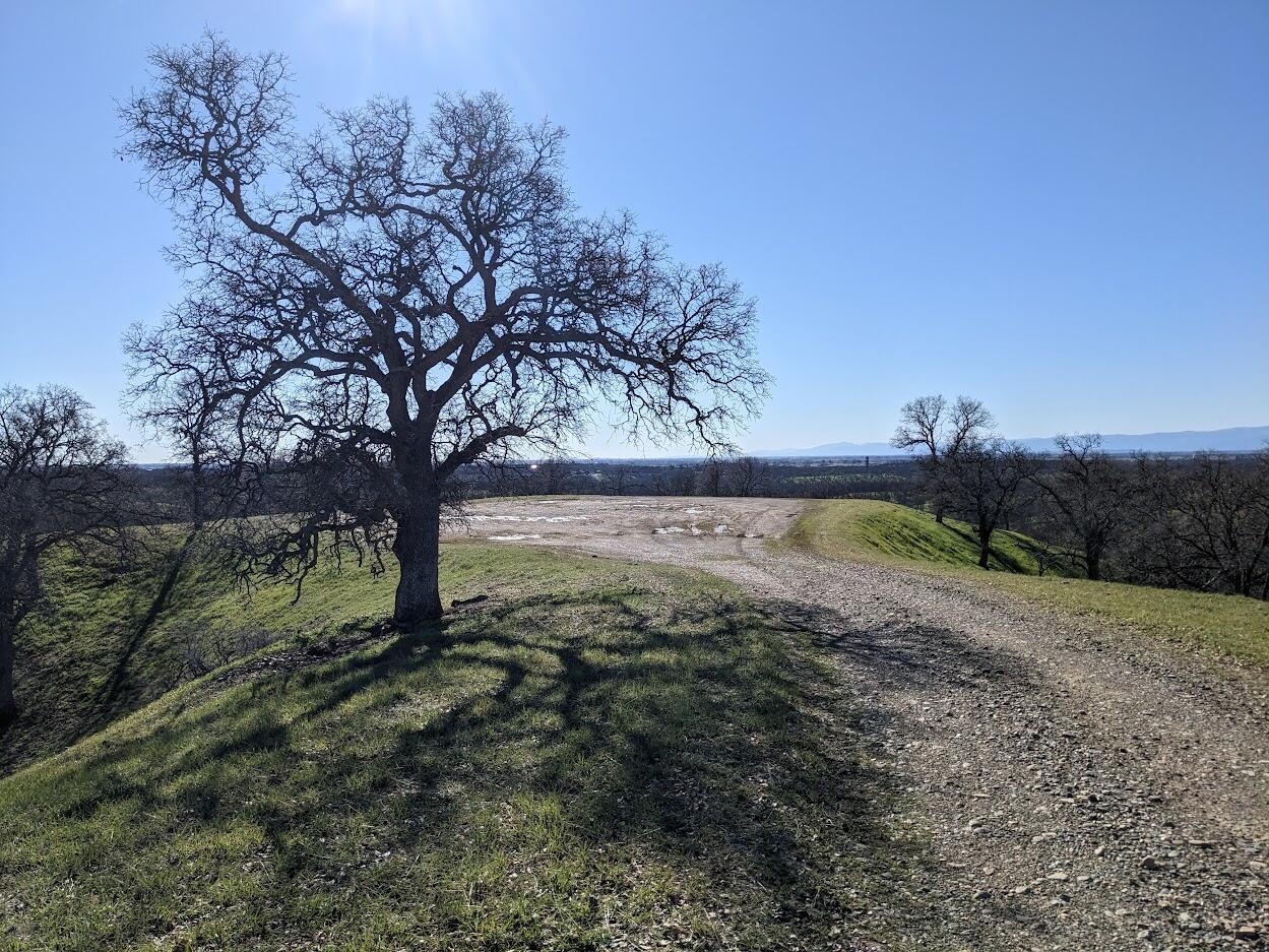 0 Penneleme Road Red Bluff, CA 96080 - Photo 3 of 7 PXL_20230123_201552490