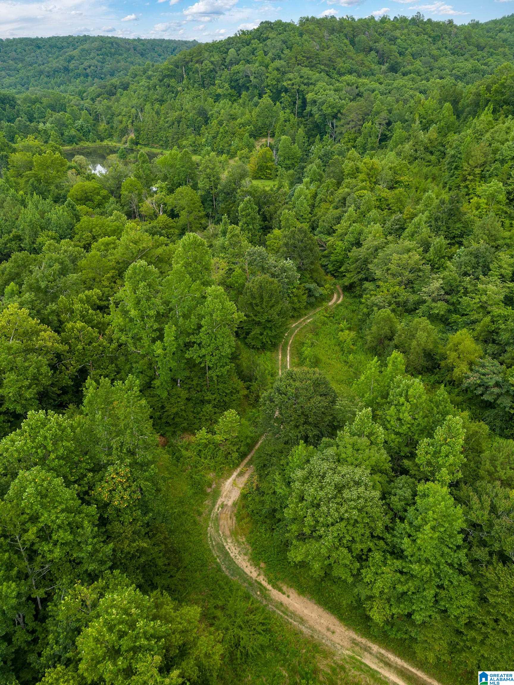 81 Frozen Hollow Road, Unit 32 Carbon Hill, AL 35549 - Photo 41 of 42